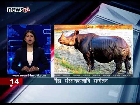 AFTERNOON NEWS FATAFAT - NEWS24 TV