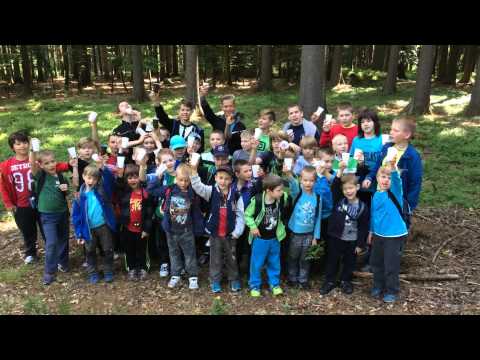 Sběr borůvek na buchtu!