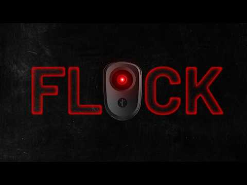 Invasion of the "FLOCK" Cameras