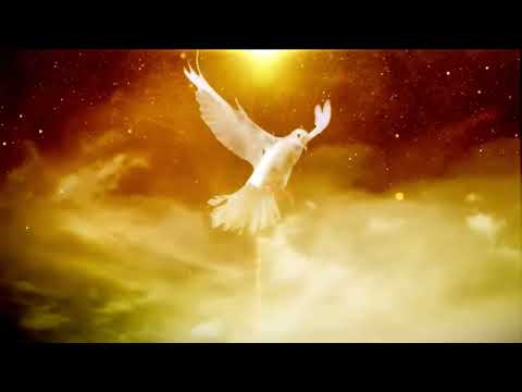 166 Tulina Omubeezi waffe