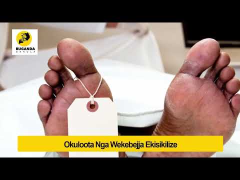 okuloota nga wekebejja ekisikilize  - Ebirooto Namakulu Gaabyo - Buganda Ekkula