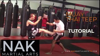 Ajarn Nelson Siyavong demonstrating a proper teep - Muay Thai push kick Murfreesboro Tennessee