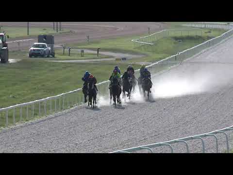 2019.06.30. 10. futam - MEZŐHEGYESI DÍJ (II.kat.) (szintetikus pálya)