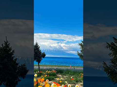 Tujh Bin #music #beats #love #song #bollywood #nature #lovemusic #shortsfeed #travel #lovebeats143