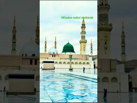 zahi @✨🤲💚💯