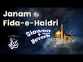 Janam Fida-e-Haideri | Slowed & Reverb |  Sadiq Hussain | Addiction by Hassan Ayaz | Lofi Remake