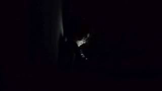 beach trip // Charles Bukowski