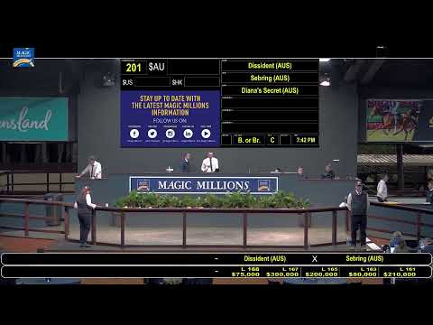 2020 Gold Coast National Broodmare Sale Day 1
