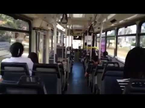 TP1133 Renault PR100.3 CNG (ZF Ecomat) P2 PATH Transit