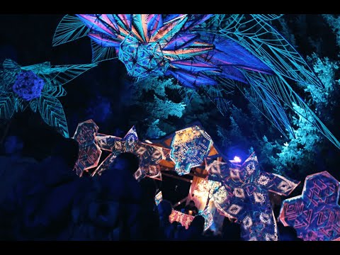 LAS Tribe Open Air 2020 Official Aftermovie