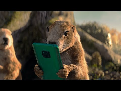 Huawei mate 20 Pro and Groundhogs