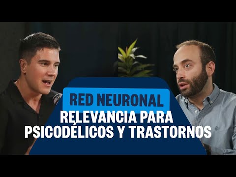 The default mode network (DMN) and its relevance to psychedelics and disorders - Dr. Borja Bandera