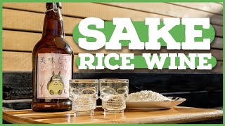 How to Easily Make SAKE (Rice Wine) at Home! 🍶