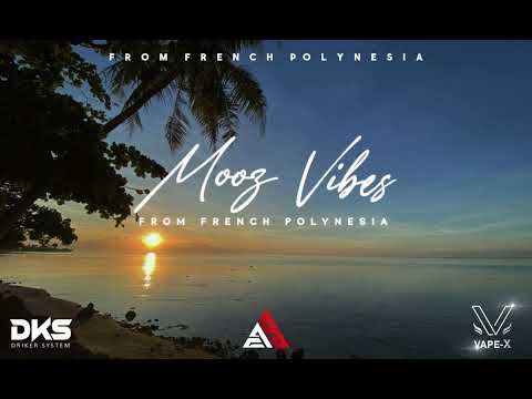 MÊME SI LE SOLEIL - (Stifler X Lisa) 2024