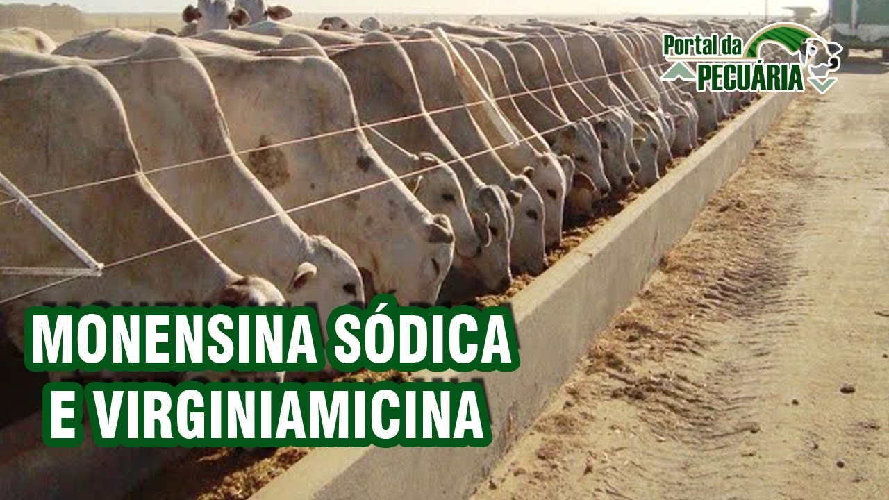 Monensina sodica e Virginiamicina