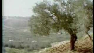 Pinchas Zukerman: Four Seasons Summer II. Adagio