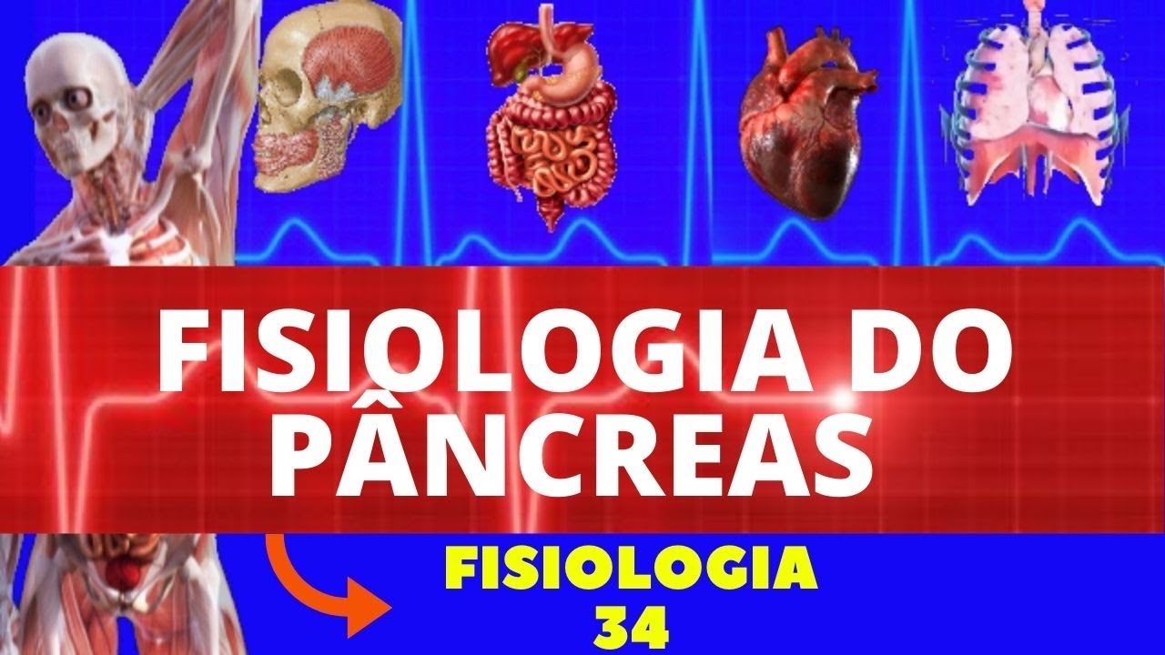 FISIOLOGIA DO PÂNCREAS ENDÓCRINO (INSULINA E GLUCAGON) - FISIOLOGIA HUMANA - FISIOLOGIA DE GUYTON