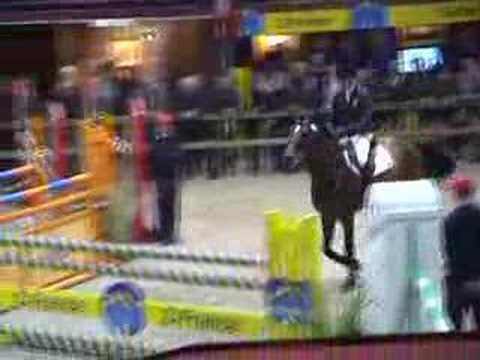 ♂ Quite Easy- jumping stallion  (HOLST) by Quidam de Revel