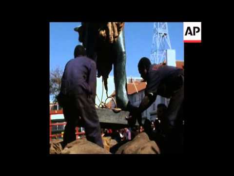 SYND 3/8/80 REMOVAL OF CECIL RHODES STATUE IN SALISBURY