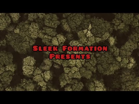 Sleek Whizz - Like This ( Official Music Video)