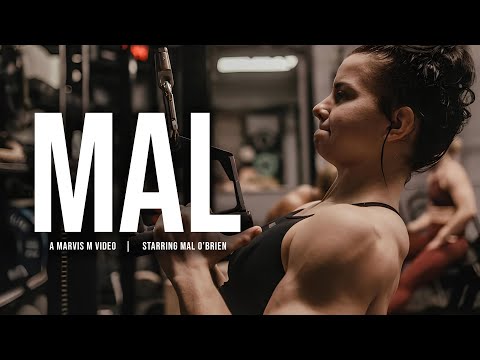 MAL - Powerful Motivational Video