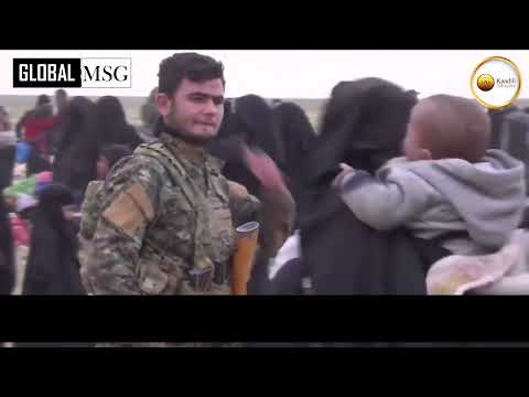 “Shembulli i besimtarit është ai i një bime të butë, të njomë”