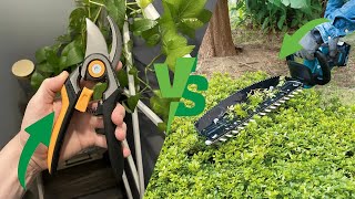 Hedge Trimmers vs Pruning Shears: Which Cuts Better?