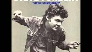 Steve Forbert - Rain ( Little Stevie Orbit )