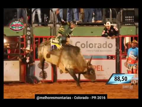 🇧🇷 Ricardo Rossetto x Cangaceiro - Rodeio de Colorado 2016 #rodeio #rodeo