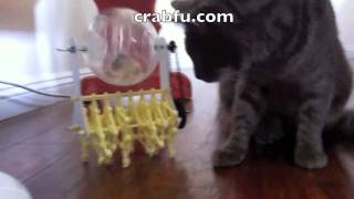 Двигатель в одну хомячковую силу