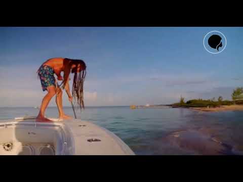 Lovd Ones x Benjah "Higher Vibrations" - snippet visualizer -2022