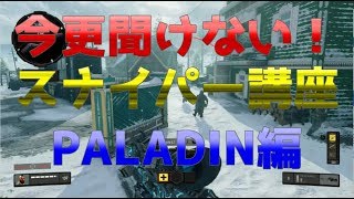 【BO4実況】今さら聞けない！SR講座！〈 Paladin編 〉