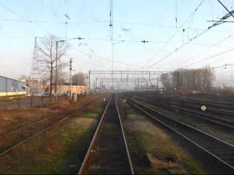 Kutno  - Kutno Azory