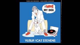 Yusuf Islam / Cat Stevens  - I love my dog 2016 New version