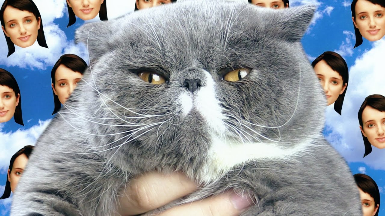 LE SECRET DE JUMBO... (Evie #2) thumbnail