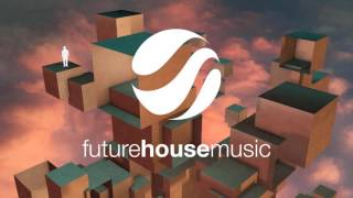 Morgan Page - Running Wild (DLMT Remix)