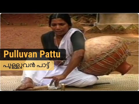 Pulluvan Pattu | പുള്ളുവൻ പാട്ട് | Art forms Kerala — वीडियो थंबनेल