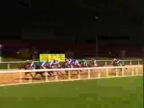 2006 Dubai World Cup - Electrocutionist