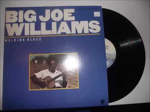 Big Joe Williams 👉🏽 Walking Blues ( Full Album) Disc.1