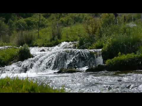 ČETRNESTA EPIZODA - BRATSTVO U ISLAMU