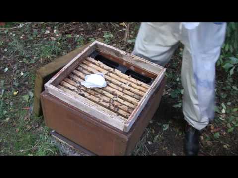 Apiquard thymol behandling imod varroa