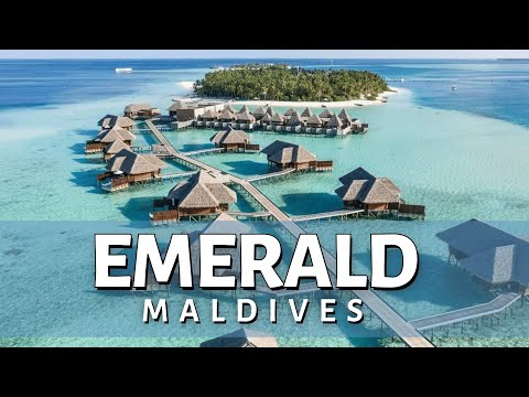 Videos del Emerald Maldives Resort  Spa 5★ en Raa Atoll, MaldivasVer MásVerPrecios19CerrarConsulta por Whatsapp 🇦🇷BookingTripadvisorExpediaAgodaTravelocityOrbitzTripSkyscannerDespegarKayakHotelesBestdayDestiniaTrivagoTurismocityLastminuteHotwireTuiWotif