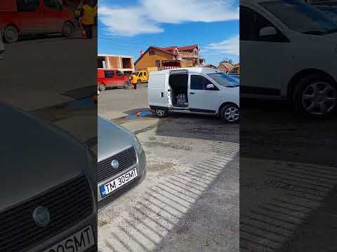 Becicherecu Mic-Timiș, România