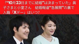 眞子さまと小室さんの結婚関連報道