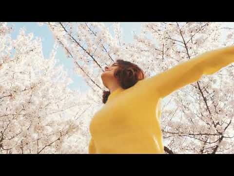 Das Gesetz von "Ursache und Wirkung" DEIN Schicksal selbst bestimmen kannst