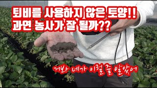 쏘맨드만 사용한 토양(토경) 재배 농장!! 과연 농사가 될까?? 정말 퇴비는 필수적으로 사용해야 하는 것 인…