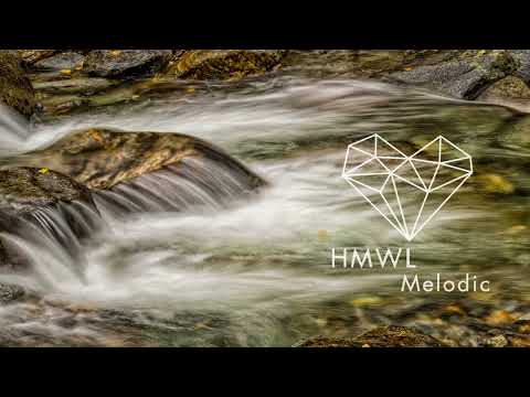 Franky Wah - The Otherside feat Robinson (Original Mix) [MELODIC HOUSE & TECHNO / SHÈN Recordings]