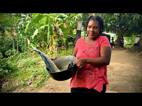 Life in Haiti’s Countryside you need to see | Outdoor Cooking Fried Fish 