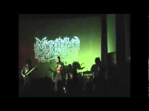 Morbidity - Let There Be Chaos(Live)