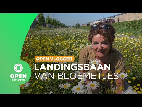 Gina wordt helemaal blij van de 'bloemenlandingsbaan' bij Zestienhoven | OPEN Vlogger